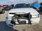 Lot #2986144152 2008 FORD CROWNVIC