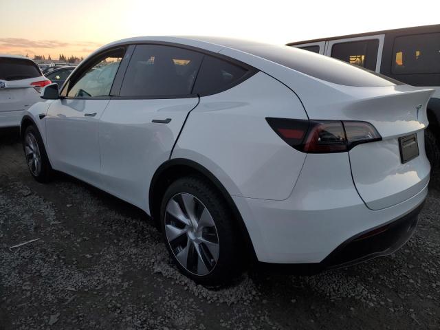 7SAYGDEE6PF748499 | 2023 TESLA MODEL Y