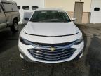 Lot #2285588004 2023 CHEVROLET MALIBU LT