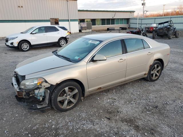 2011 Chevrolet Malibu 