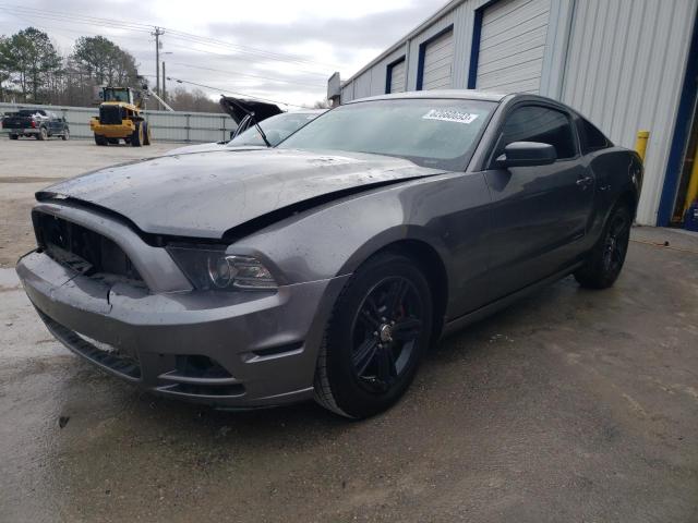 1ZVBP8AMXE5218684 | 2014 FORD MUSTANG