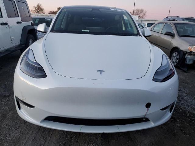 7SAYGDEE6PF748499 | 2023 TESLA MODEL Y