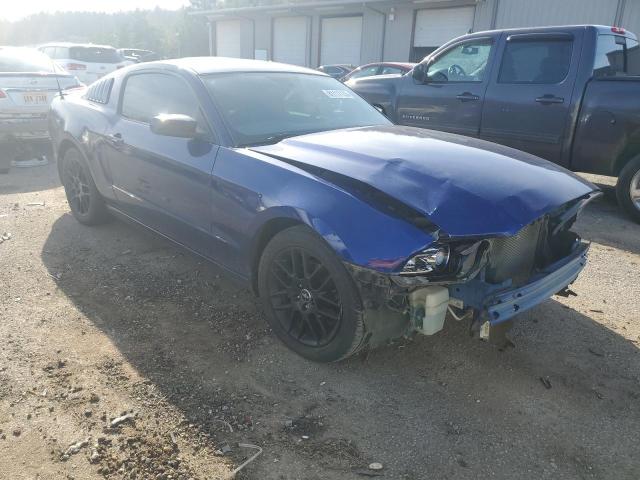 1ZVBP8AM3E5331649 | 2014 FORD MUSTANG