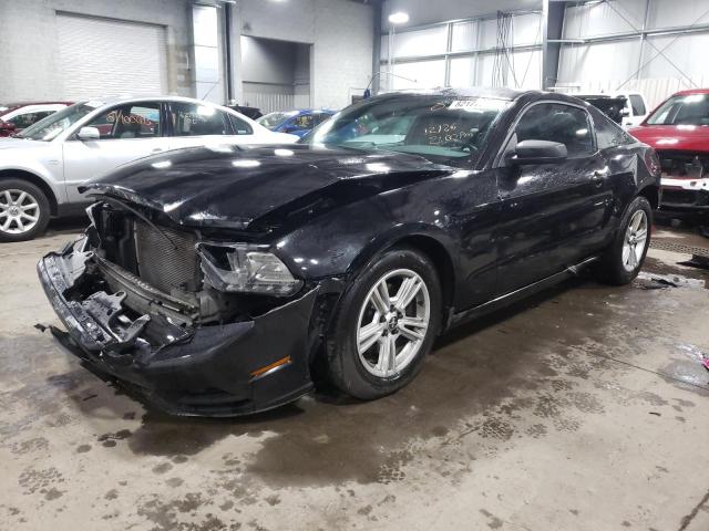 1ZVBP8AM0E5327445 | 2014 FORD MUSTANG