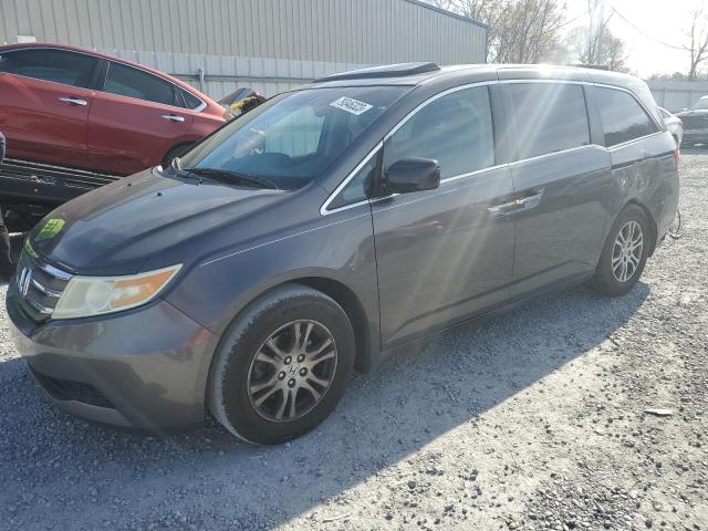 5FNRL5H64BB002827 | 2011 Honda odyssey exl