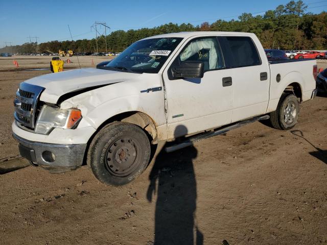 1FTFW1CTXEFB14726 | 2014 FORD F150 SUPER