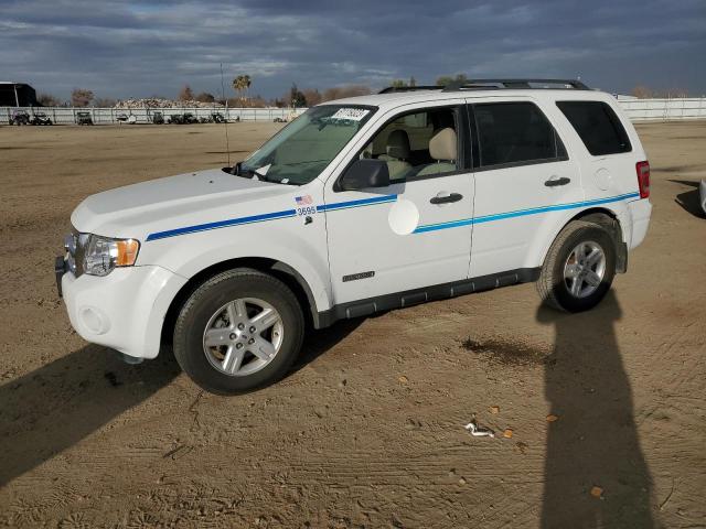 2008 Ford Escape 