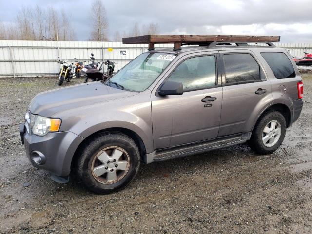 2009 Ford Escape XLT