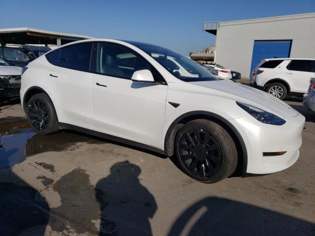 7SAYGAEE4PF591179 | 2023 TESLA MODEL Y