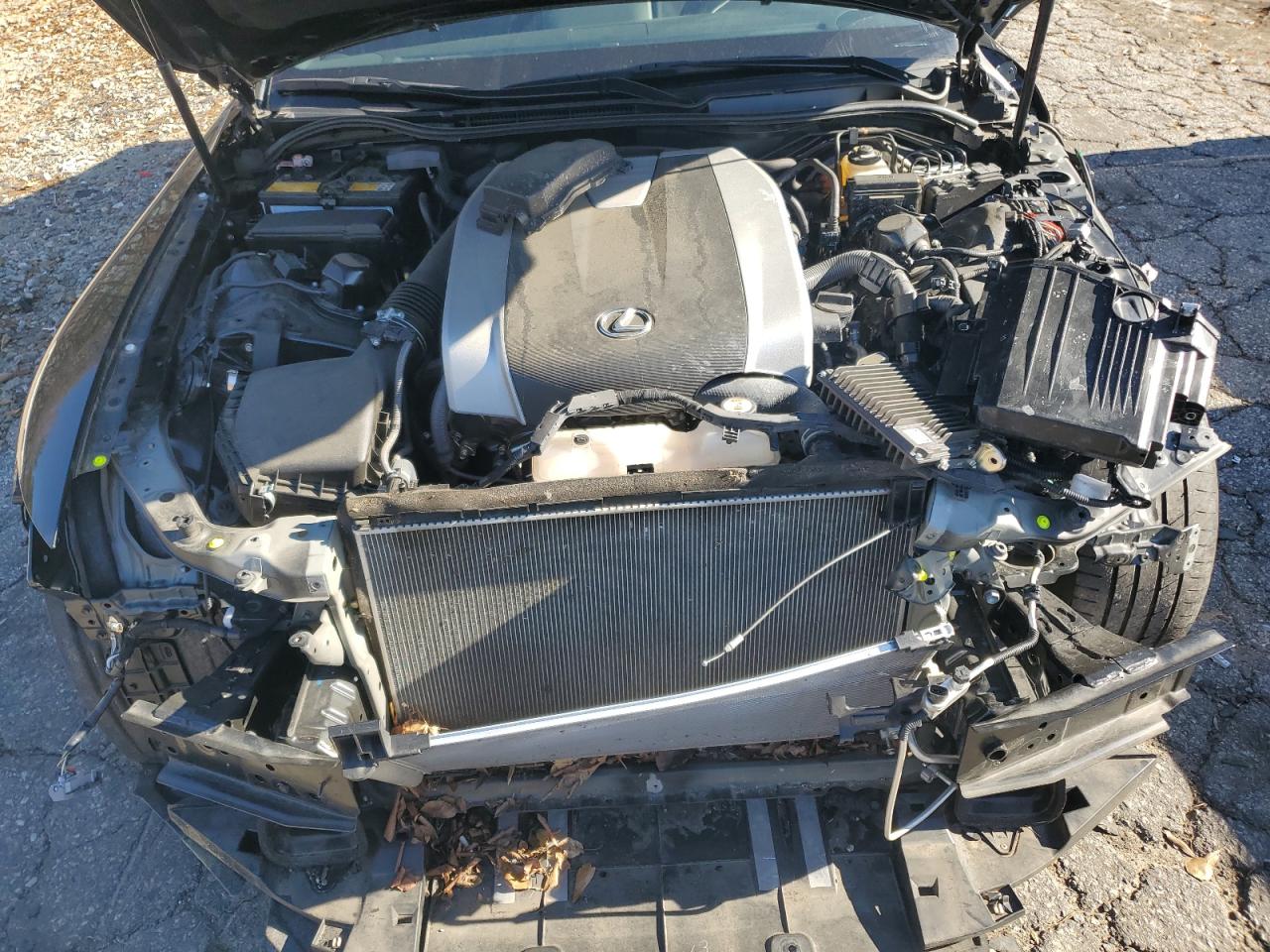 Фото: JTHGZ1B21M5044489 - 11