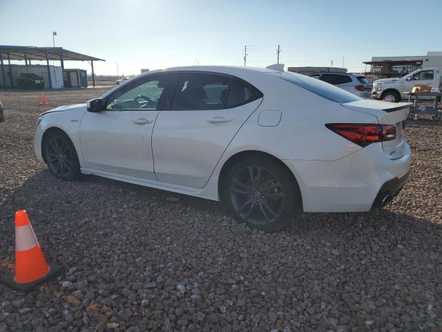 19UUB3F61KA006090 | 2019 ACURA TLX TECHNO