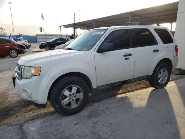 Vin: 1fmcu0dg3akb92721, lot: 80132363, ford escape xlt 2010 img_1