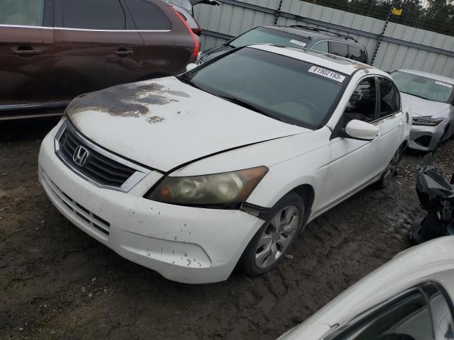 Lot #2296102904 2008 HONDA ACCORD EX salvage car