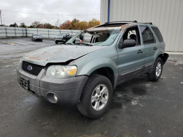 2007 Ford Escape XLT