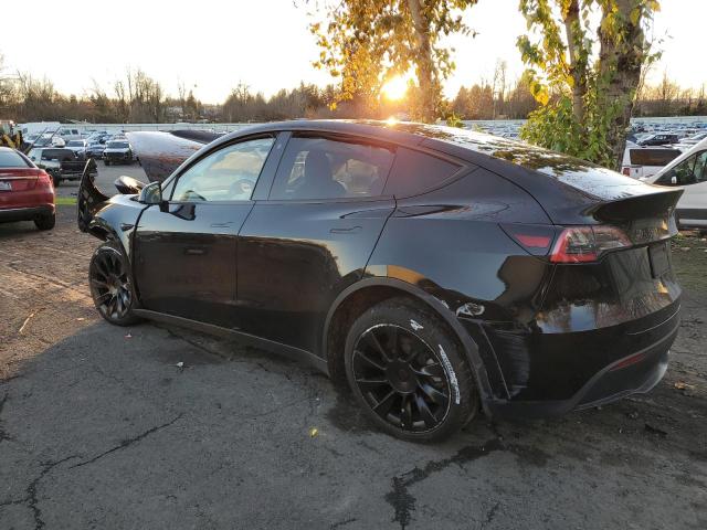 5YJYGDEE5MF097231 | 2021 TESLA MODEL Y