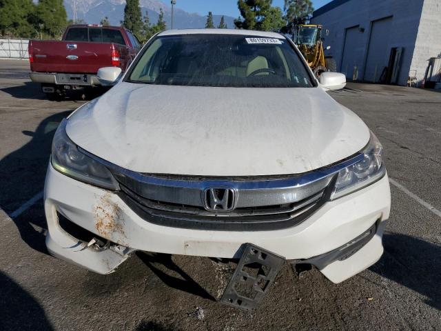 1HGCR2F89HA230686 | 2017 HONDA ACCORD EXL