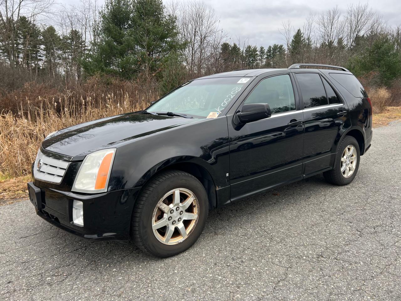 1GYEE637660160339 2006 Cadillac Srx