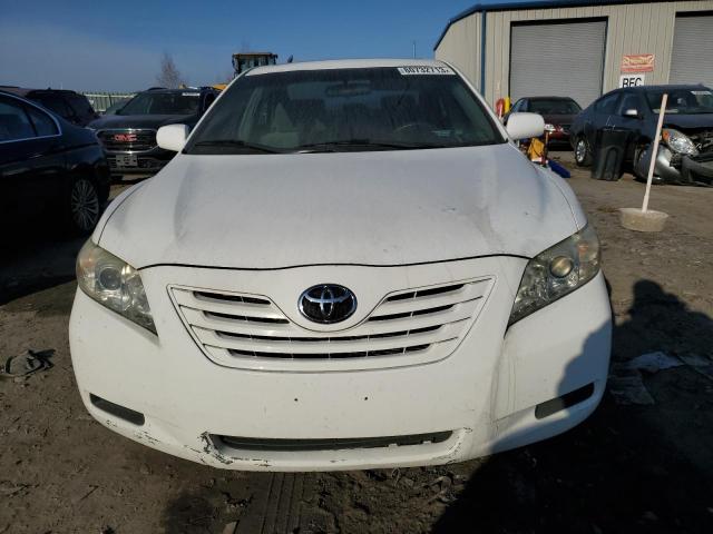 4T1BE46KX9U861231 | 2009 Toyota camry base