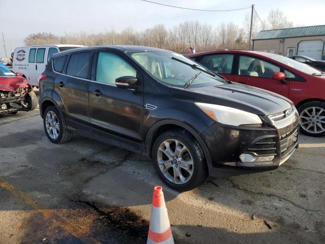 2013 Ford Escape Sel VIN: 1FMCU0H96DUC10200 Lot: 79244853