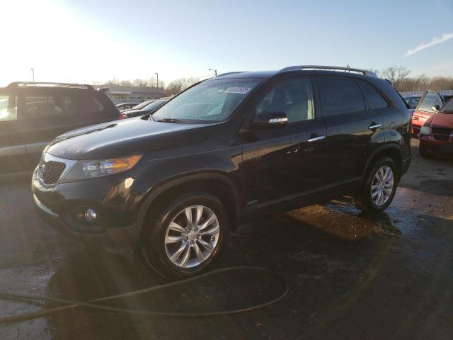 Vin: 5xykuca11bg120781, lot: 80458533, kia sorento ex 2011 img_1