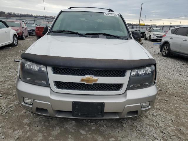 2007 Chevrolet Trailblazer Ls VIN: 1GNDT13S172198251 Lot: 81224733