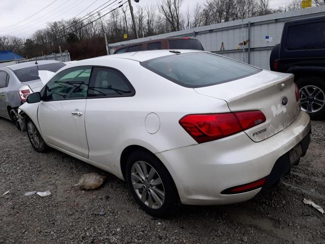 KNAFX6A8XE5244811 | 2014 KIA FORTE EX