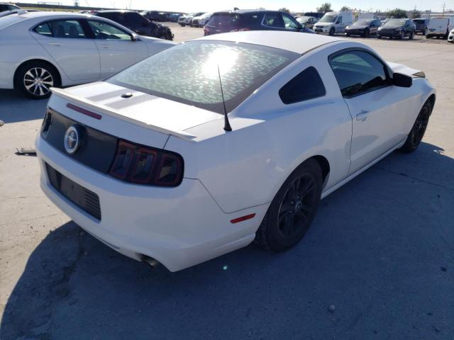 1ZVBP8AM2E5278135 | 2014 FORD MUSTANG