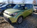 KIA SOUL + photo