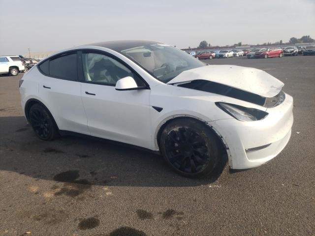 7SAYGDEE4PF589420 | 2023 TESLA MODEL Y