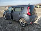 KIA SOUL ! photo