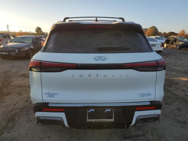2024 INFINITI QX60 AUTOG - 5N1DL1HU2RC338481