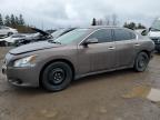 Top Destinations for Shipping Cars from the USA