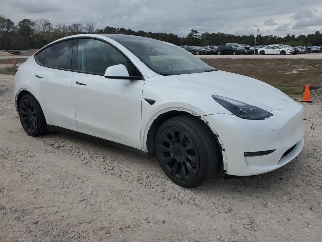 7SAYGAEE0PF710202 | 2023 TESLA MODEL Y