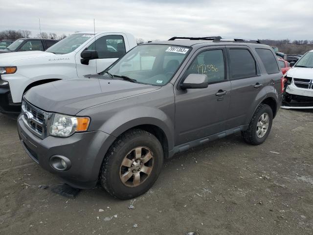 2010 Ford Escape Limited