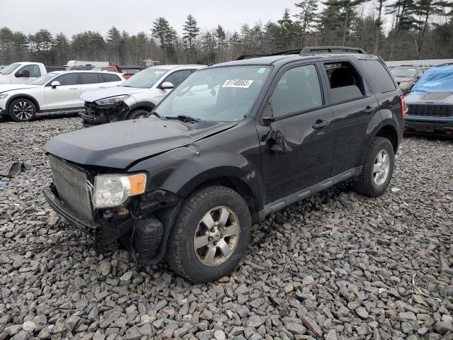 Lot #2361389700 2010 FORD ESCAPE XLT salvage car