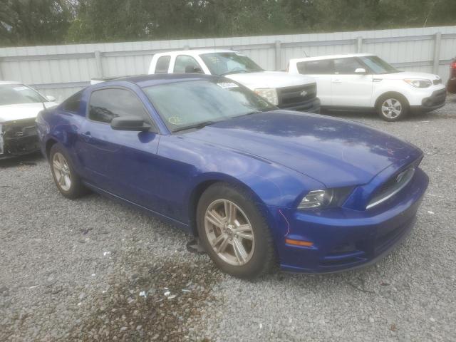 1ZVBP8AM9E5263924 | 2014 FORD MUSTANG