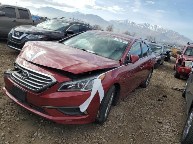 Vin: 5npe24af1gh299277, lot: 81324613, hyundai sonata se 2016 img_1