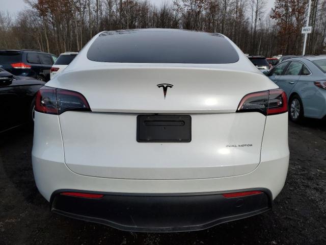 7SAYGAEE7PF671446 | 2023 TESLA MODEL Y