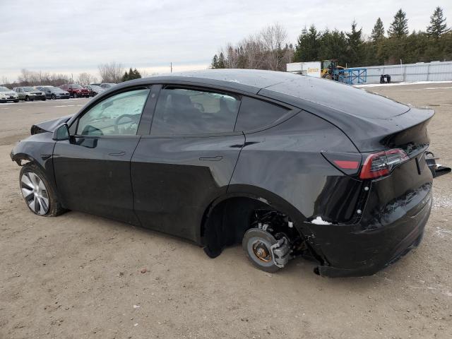 LRWYGDFDXPC164023 | 2023 TESLA MODEL Y