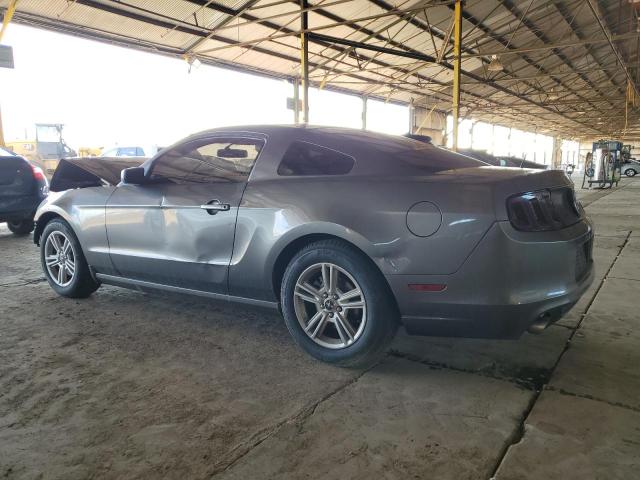 1ZVBP8AM9E5281436 | 2014 FORD MUSTANG