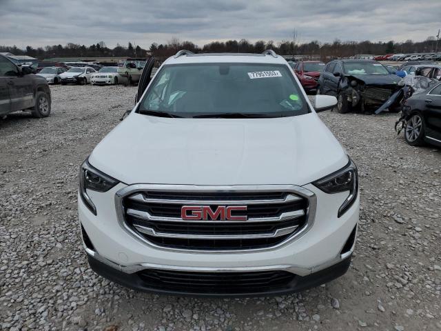 3GKALPEX5KL261628 | 2019 GMC TERRAIN SL