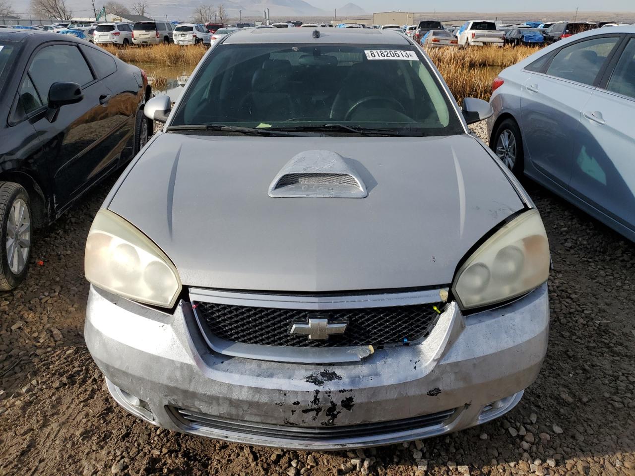 1G1ZW63156F110070 2006 Chevrolet Malibu Maxx Ss