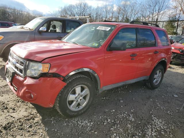 2009 Ford Escape XLT