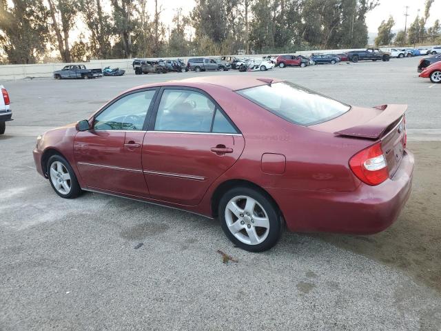 Lot #2428279398 2002 TOYOTA CAMRY LE salvage car