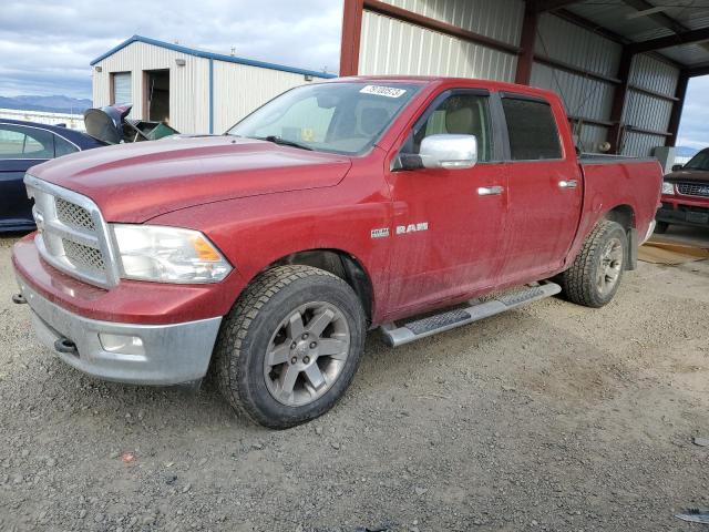 2009 Dodge Ram 1500 VIN: 1D3HV13T49S746699 Lot: 79700573