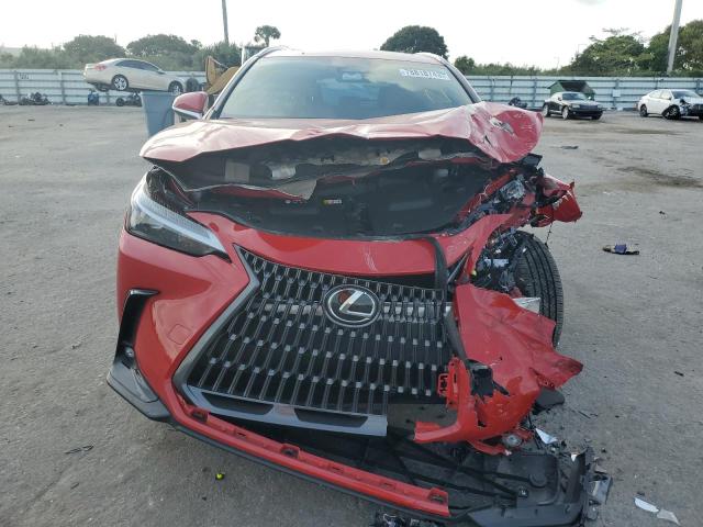2024 LEXUS NX 250 BAS 2T2ADCAZ3RC010088
