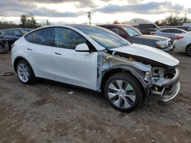 7SAYGDEE1PF764478 | 2023 TESLA MODEL Y