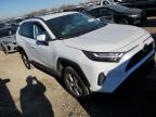 TOYOTA RAV4 XLE photo