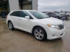 Lot #3023423237 2009 TOYOTA VENZA