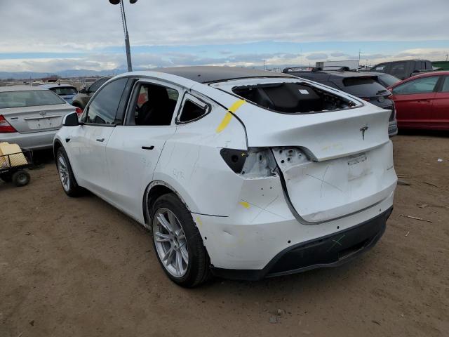 5YJYGDEE5MF097441 | 2021 TESLA MODEL Y